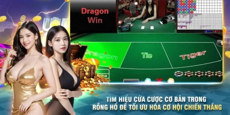 Hướng Dẫn Chơi Rồng Hổ Từ A-Z: Mẹo Hay & Cách Đặt Cược Hiệu Quả